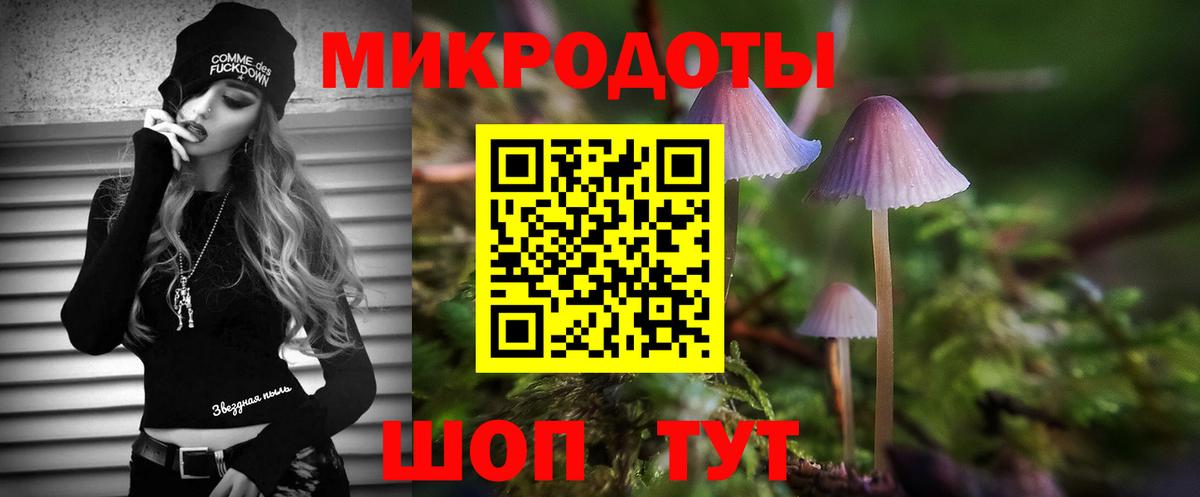 Галлюциногенные грибы Cubensis Муром